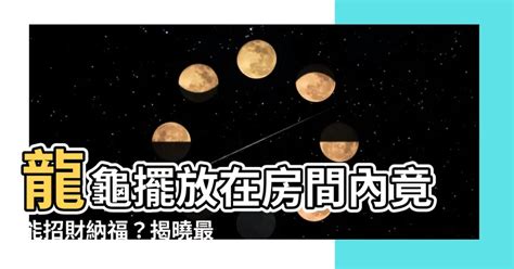 龍龜可以放房間嗎